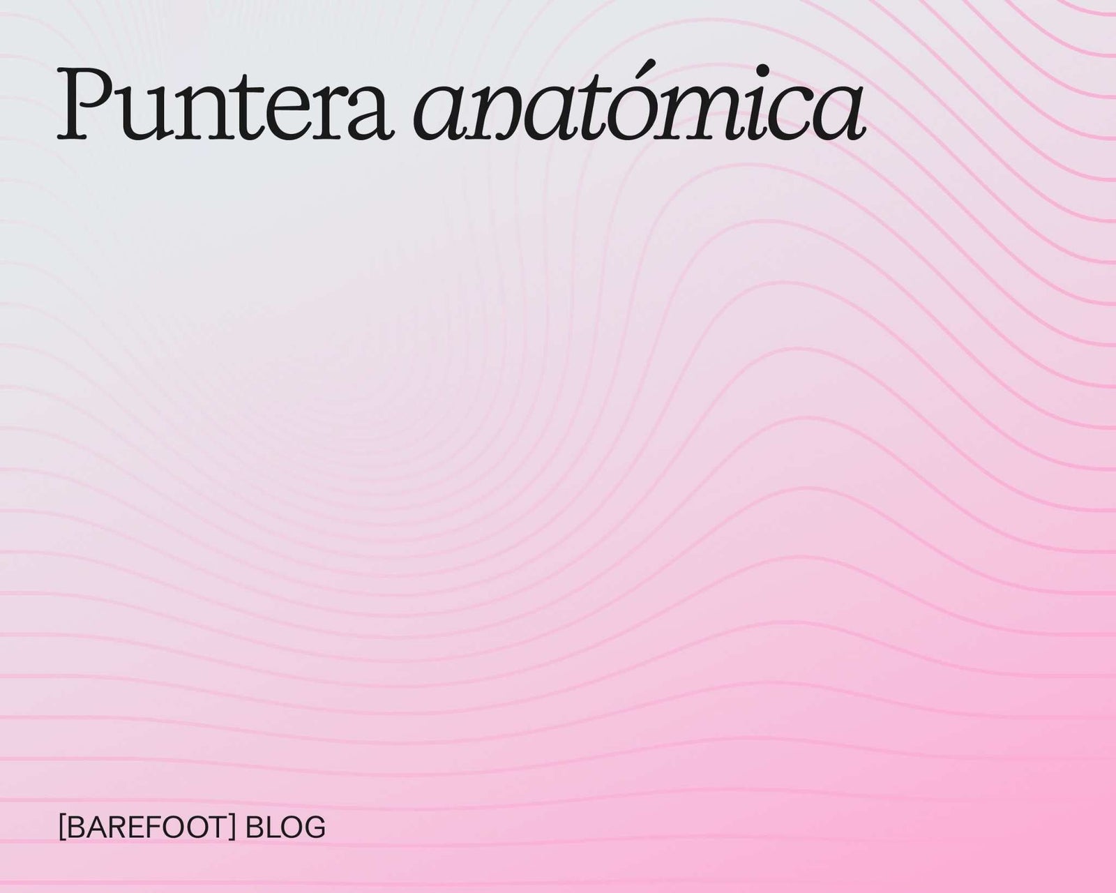 Puntera anatómica: qué es, beneficios y por qué importa en el calzado