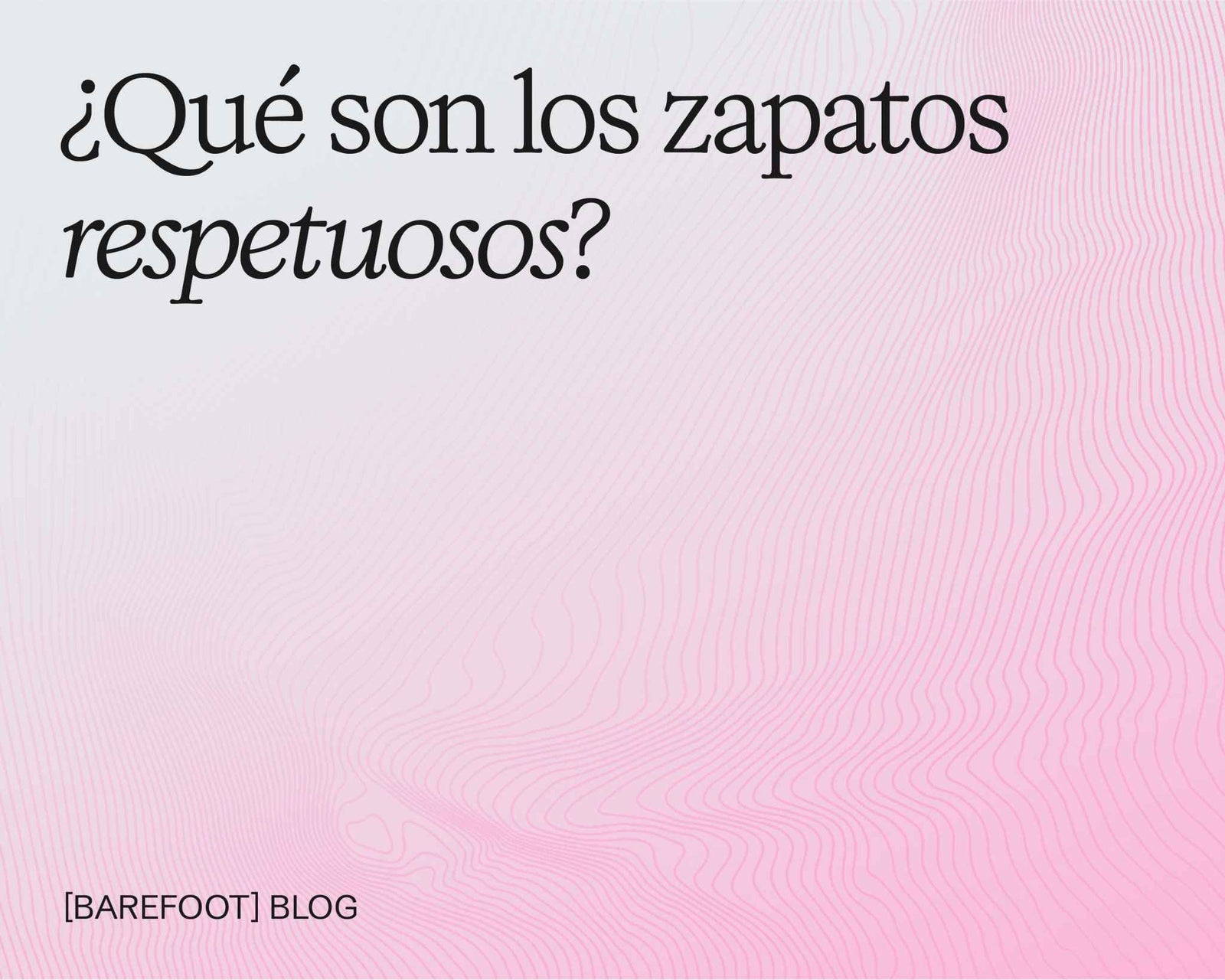 Zapatos respetuosos: qué son y qué características no pueden faltar
