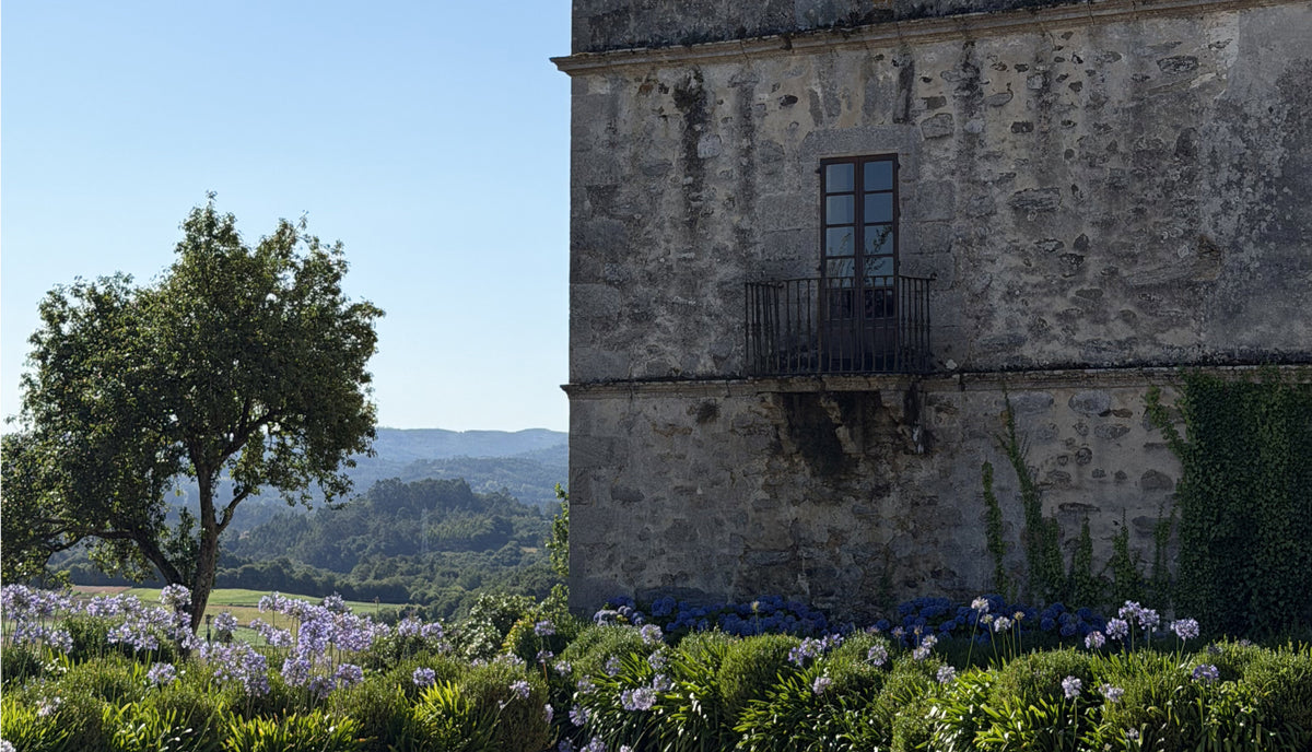 Pazo de San Tirso wśród drzew