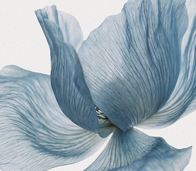 Lejan Melrose® - Denim