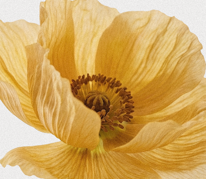 Lejan Melrose® - Yellow