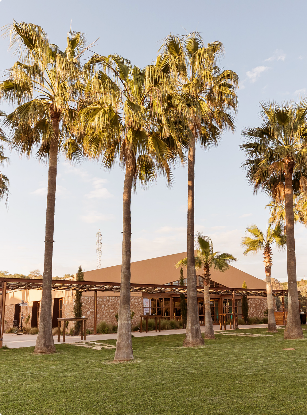 Palmeras y casa de piedra de la Finca Son Mir